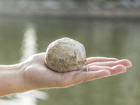 アラワイ運河に投げ入れられたゲンキボール（ホノルルフェスティバルにて）