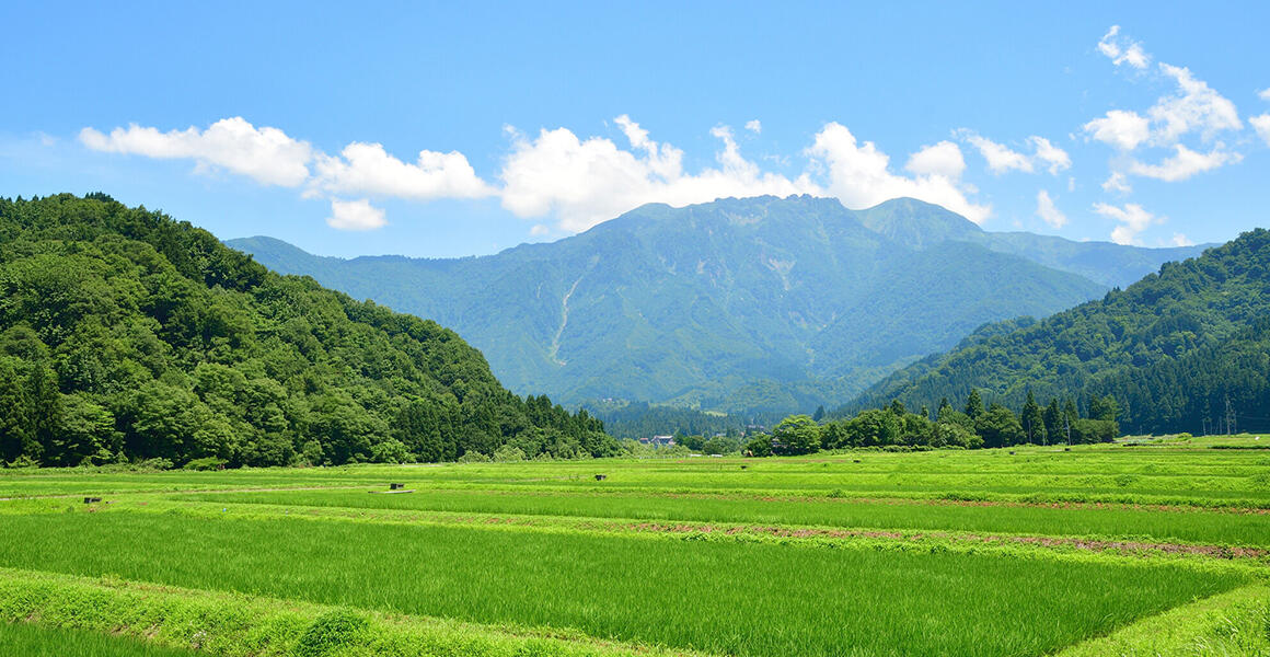 ふるさと納税で地域の魅力を掘り起こす。そこにかける若手社員の想いとは。