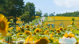 240620_15_image_09.png