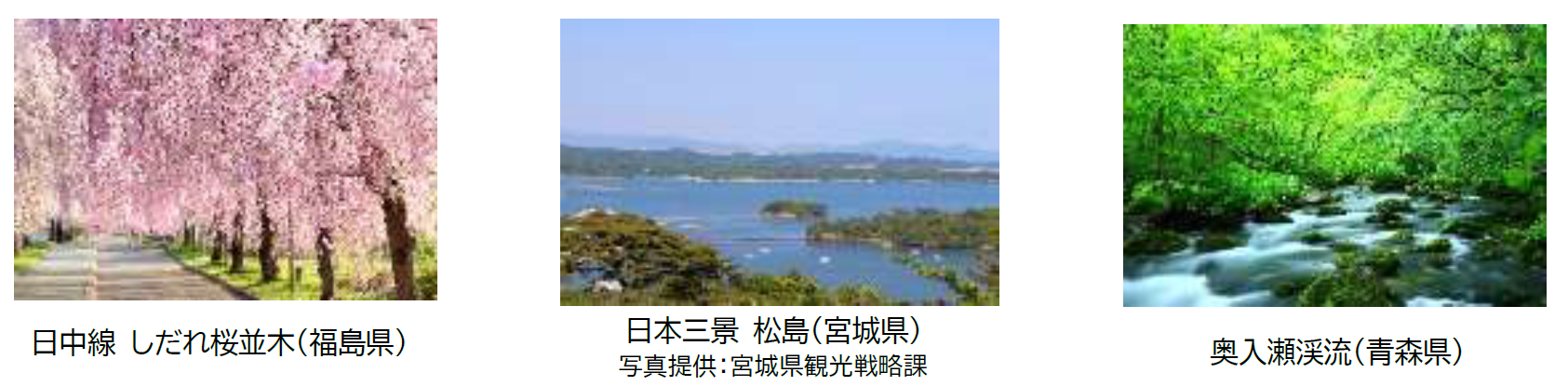 20260113_nihonnoshun tohoku_image01.png