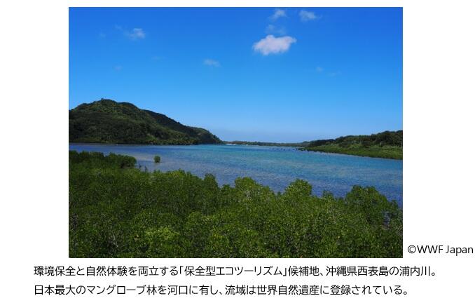20261009_jtbwwfsustainability_image01.jpg