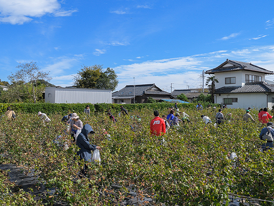 持続可能な観光地（イメージ）