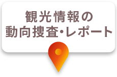 観光情報の動向調査・レポート