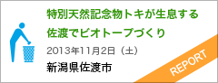 特別天然記念物トキが舞う佐渡でビオトープづくり