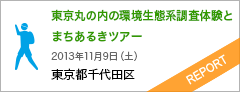 東京丸の内の環境生態系調査体験とまちあるきツアー