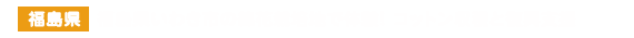 福島県いわき市の綿花栽培地で体験！ コットン収穫と復興支援