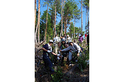 八百津町「JTB桜の森」つくり