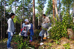 八百津町「JTB桜の森」つくり
