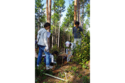 八百津町「JTB桜の森」つくり
