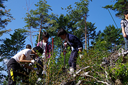 八百津町「JTB桜の森」つくり