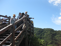 沼津市井田集落で、西伊豆最後の手付かずの自然と農作業体験