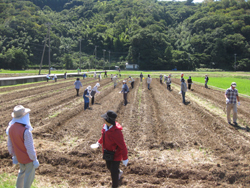 沼津市井田集落で、西伊豆最後の手付かずの自然と農作業体験