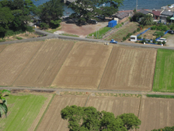 沼津市井田集落で、西伊豆最後の手付かずの自然と農作業体験