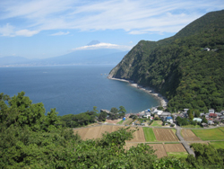 沼津市井田集落で、西伊豆最後の手付かずの自然と農作業体験