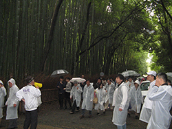 京都　嵐山清掃活動と歌碑巡り