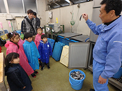 天王寺動物園の清掃及びバックヤード見学とあべのハルカス展望台