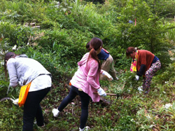 『緑・ゆたかな森づくり』：グリーンベルト整備事業に参加
