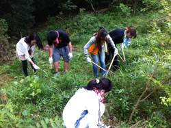 『緑・ゆたかな森づくり』：グリーンベルト整備事業に参加