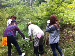 『緑・ゆたかな森づくり』：グリーンベルト整備事業に参加