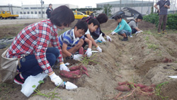 ＪＴＢ地球いきいきプロジェクト　ＫＩＸ20TH　ITM75TH