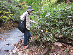 北海道感動の瞬間100選「白老・鮭の遡上」観賞と環境保全活動