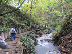 北海道感動の瞬間100選「白老・鮭の遡上」観賞と環境保全活動