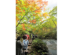 北海道感動の瞬間100選「白老・鮭の遡上」観賞と環境保全活動