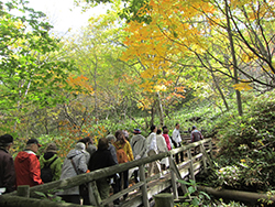 北海道感動の瞬間100選「白老・鮭の遡上」観賞と環境保全活動