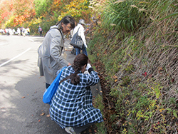 北海道感動の瞬間100選「白老・鮭の遡上」観賞と環境保全活動
