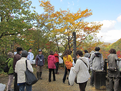 北海道感動の瞬間100選「白老・鮭の遡上」観賞と環境保全活動