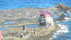 北海道新幹線「奥津軽いまべつ駅」見学と津軽国定公園袰月海岸清掃活動ツアー