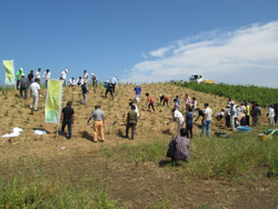 いのちを守る森づくりと松島“湾”ダーランド?アマモ場再生！?