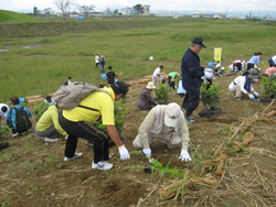 いのちを守る森づくりと松島“湾”ダーランド?アマモ場再生！?
