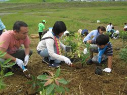いのちを守る森づくりと松島“湾”ダーランド?アマモ場再生！?