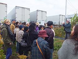 コットン収穫を通じた福島の更なる発展にアシスト！