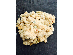 コットン収穫を通じた福島の更なる発展にアシスト！