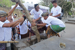 ウルワツ寺院の美しい景観を守るための植樹と清掃活動
