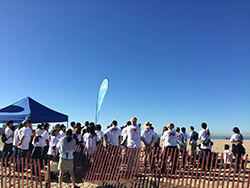 ビーチクリーンアップ活動