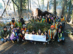 バンクーバーにあるスタンレーパークでの外来植物種管理活動