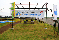 稲刈りと渡良瀬遊水地セイタカアワダチソウ除去