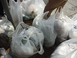 世界遺産登録記念「富岡製糸場」とまち歩き