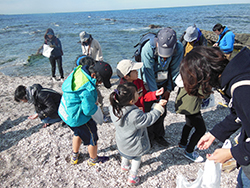 無人島で、海岸清掃と自然を五感で体験！