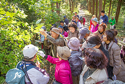 紅葉の名勝「武蔵野嵐山渓谷」での環境保全活動と埼玉Ｓ級グルメ満喫体験ツアー