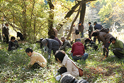 紅葉の名勝「武蔵野嵐山渓谷」での環境保全活動と埼玉Ｓ級グルメ満喫体験ツアー