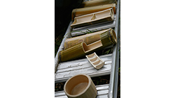 竹林整備を通してこぴっと学ぶ、山梨県南部町の竹の有効活用