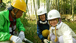 竹林整備を通してこぴっと学ぶ、山梨県南部町の竹の有効活用