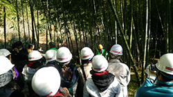 竹林整備を通してこぴっと学ぶ、山梨県南部町の竹の有効活用