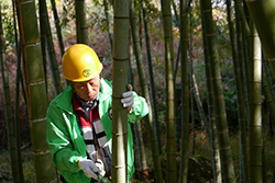 竹林整備を通してこぴっと学ぶ、山梨県南部町の竹の有効活用