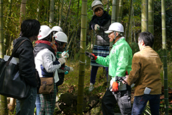 竹林整備を通してこぴっと学ぶ、山梨県南部町の竹の有効活用