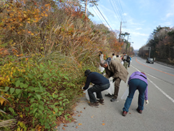 富士山をめぐるエコツアー